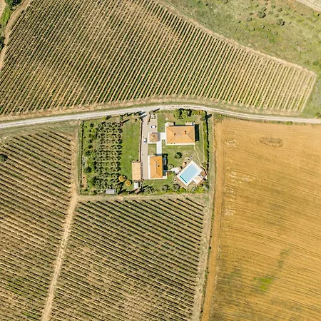Apartament Agriturismo Antica Corte - Camelie